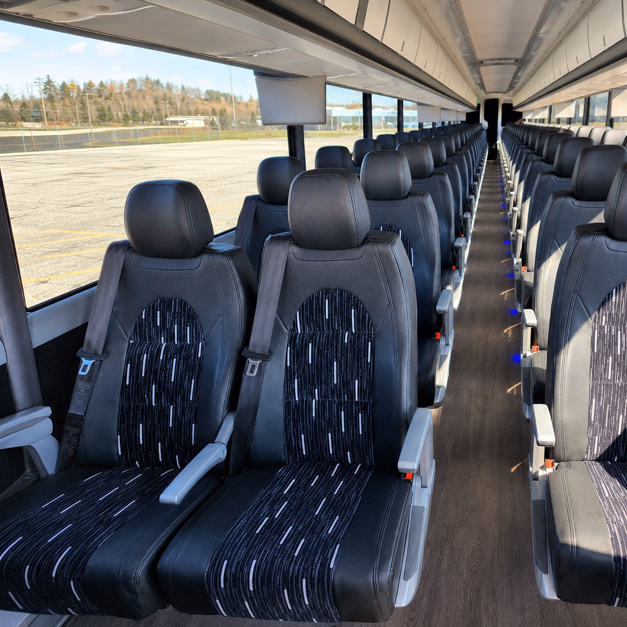 charter buses to the florida aquarium and tampa bay museums