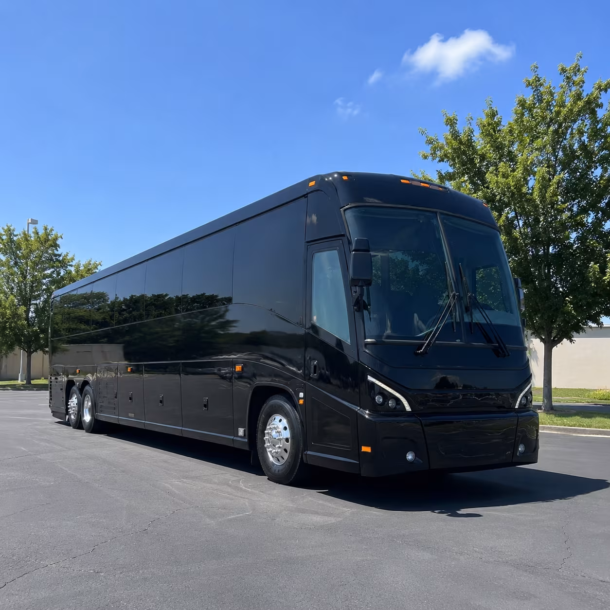 you can count on easy pinellas county emergency management and inter agency event transportation